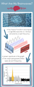 brainwaves-2-infographic